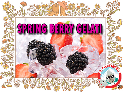 FROZEN-YOGURT-SPRING-BERRY-HOLIDAY-SAN-ANTONIO copy