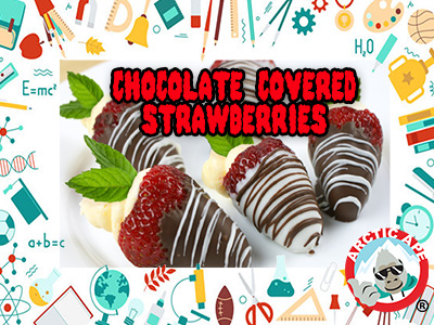FROZEN-YOGURT-CHOCOLATE-STRAWBERRY-HOLIDAY-SAN-ANTONIO copy