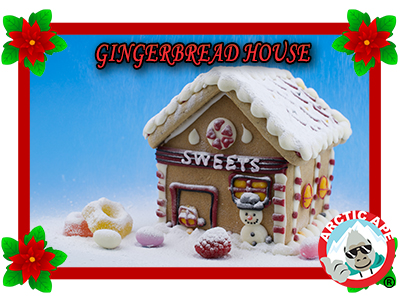 FROZEN-YOGURT-gingerbread-house-HOLIDAY-SAN-ANTONIO copy