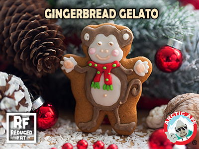 GELATO-gingerbread-SAN-ANTONIO copy